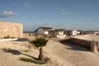 boavista_spinguera_60.jpg (163kb)