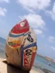 boavista_salrei_33.jpg (70kb)