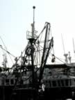 Marocco_06_Essaouira_Port_095.jpg (51kb)