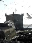 Marocco_06_Essaouira_Port_110.jpg (49kb)