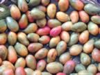 Mauritius04_MARKET_0025.jpg (78kb)
