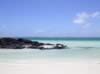 Mauritius04_nature_0006.jpg (29kb)