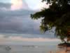 Mauritius04_nature_0061.jpg (235kb)