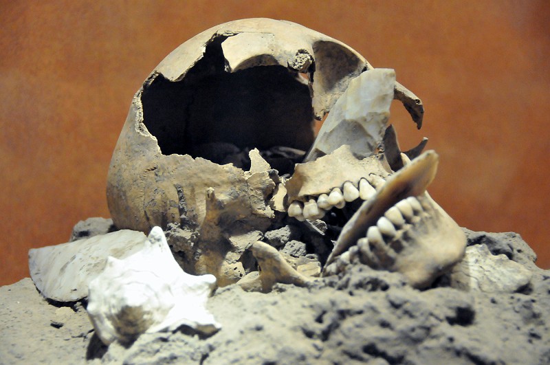 CDM_museum_30.jpg