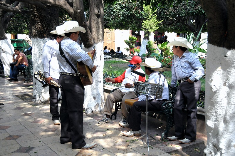 mex_guana_v1_09.jpg