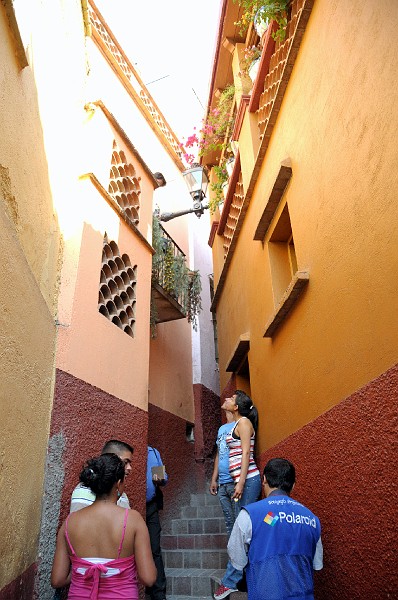 mex_guana_v2_35.jpg