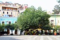 mex_guana_v2_44