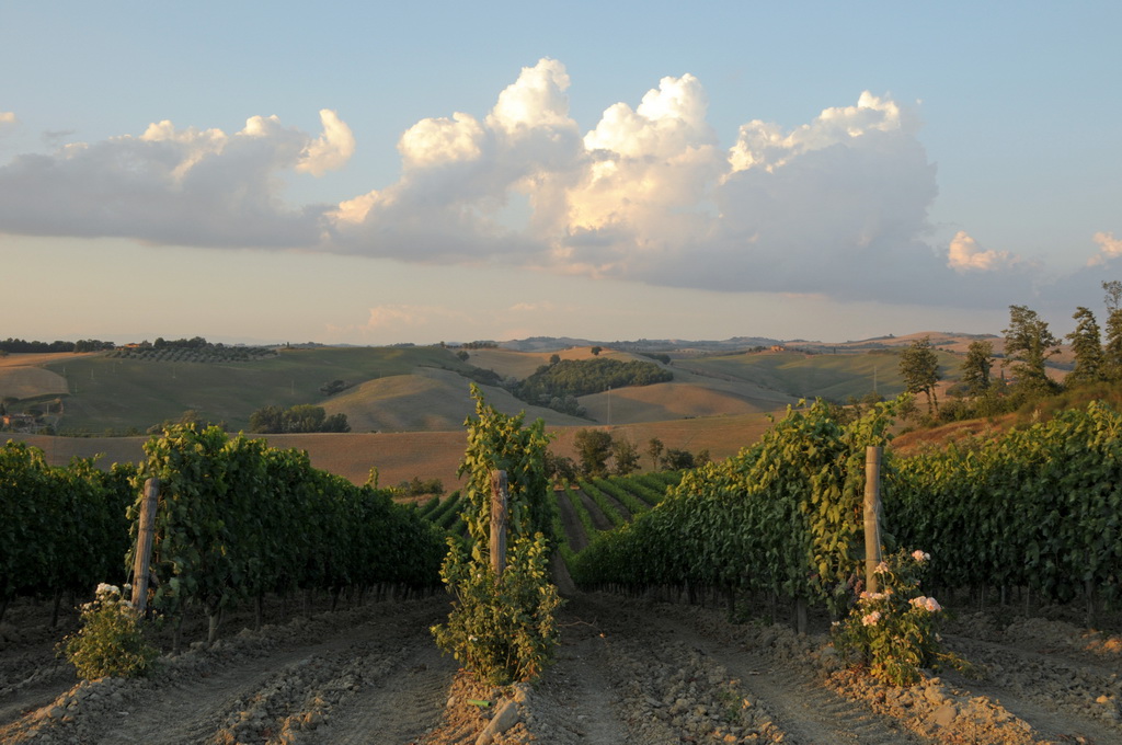 valdorcia_35.jpg
