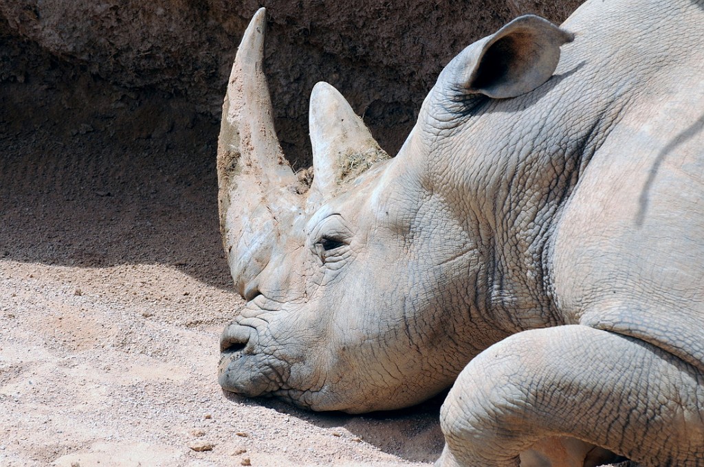 Vlc_biopark_09_38.jpg